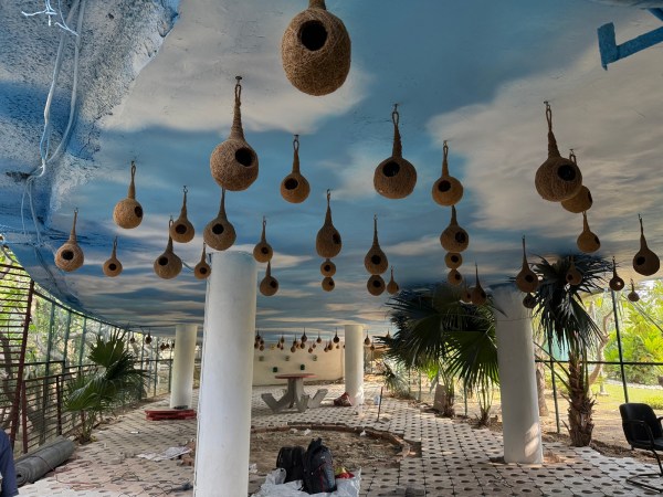 The aviary has been developed in an open space beneath a road ramp inside the Secretariat premises. (Express Photo)