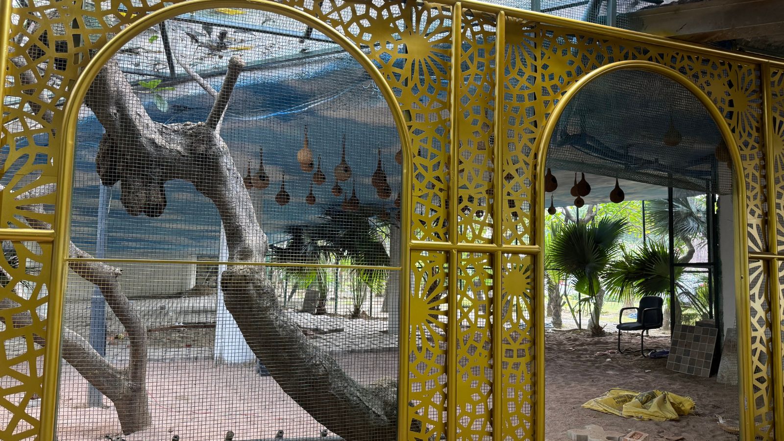 Inside the Delhi Secretariat, a quiet corner now belongs to birds