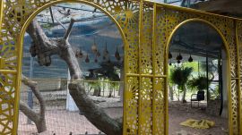 Covered with lush green plants and enclosed with a gold jhaali, the aviary has a blue-and-white painted ceiling designed to resemble the sky and clouds. (Express Photo)