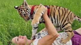 carmen zander with tiger