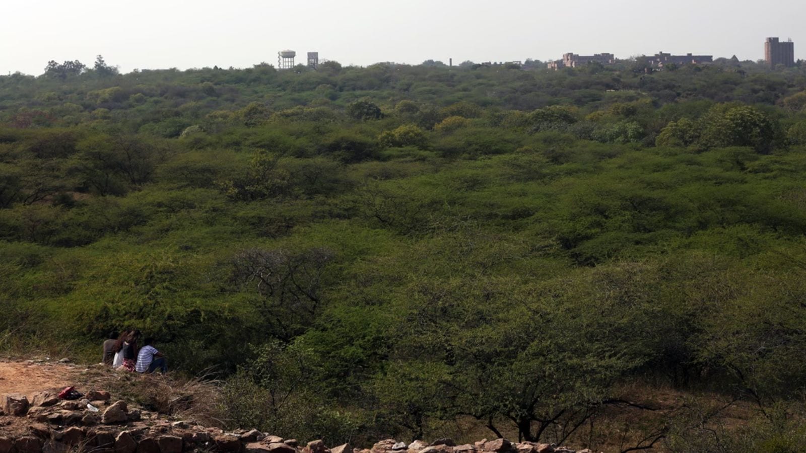 Central Ridge gets ‘reserved forest’ tag. ‘A milestone… move was pending for 3 decades,’ says Delhi CM