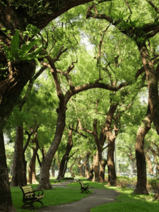 City parks you need to visit from around the world
