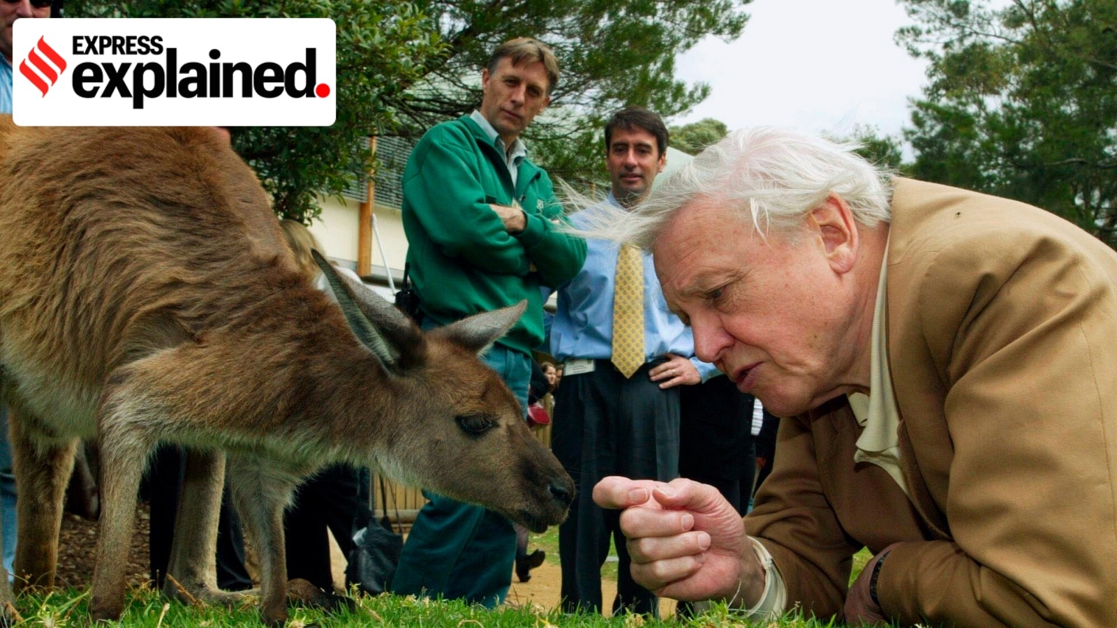 Sir David Attenborough at 100: Why iconic conservationist’s legacy lies beyond his documentaries