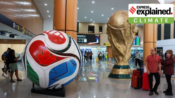 fifa world cup