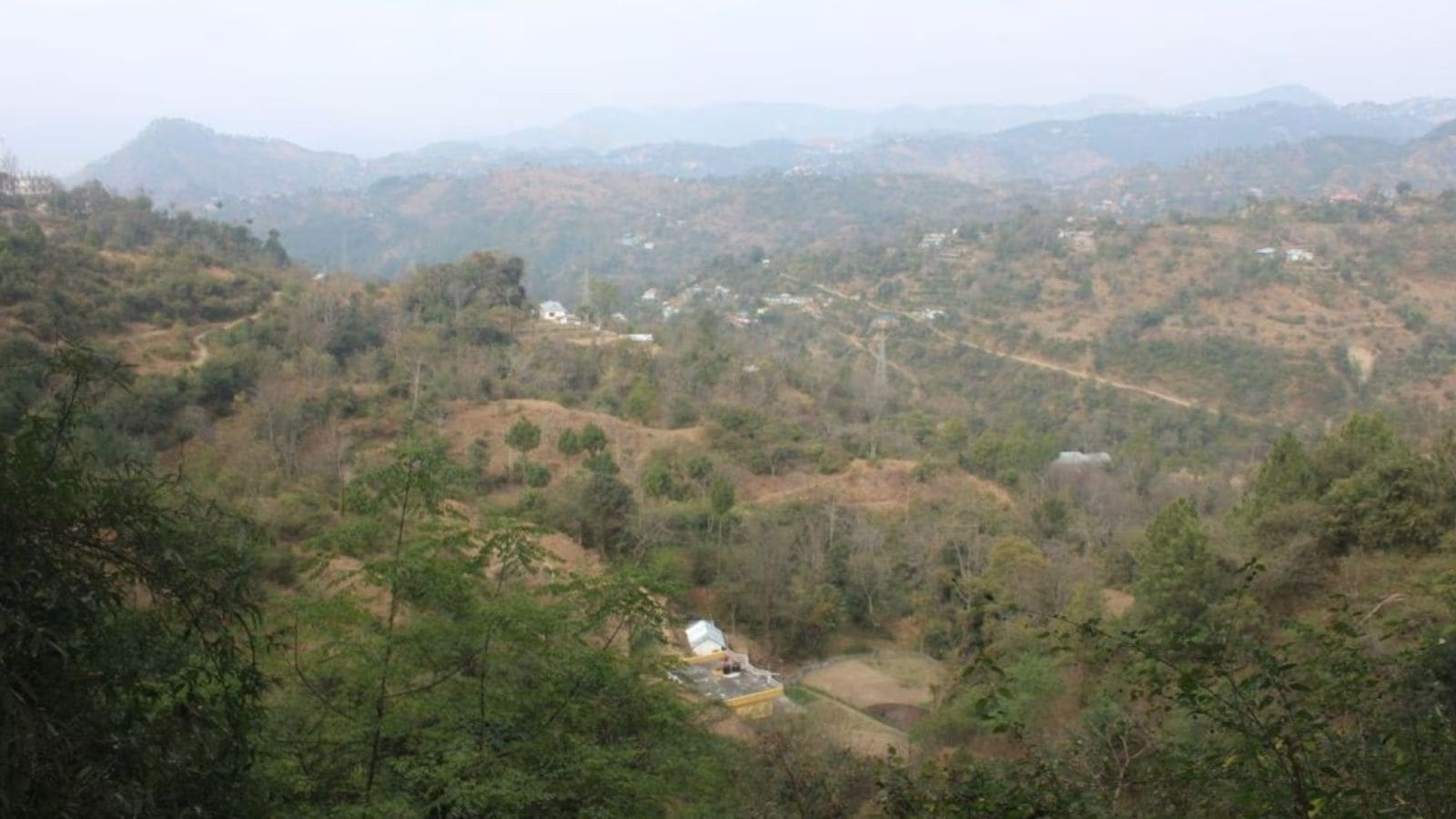 0.11% of HP forest land encroached upon, Shimla worst affected, Govt tells NGT