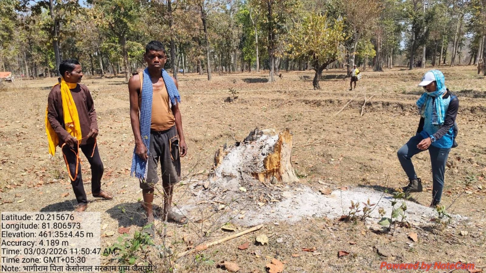100-year-old trees felled, 166 accused, a clash with officials: Behind tensions in a Chhattisgarh village