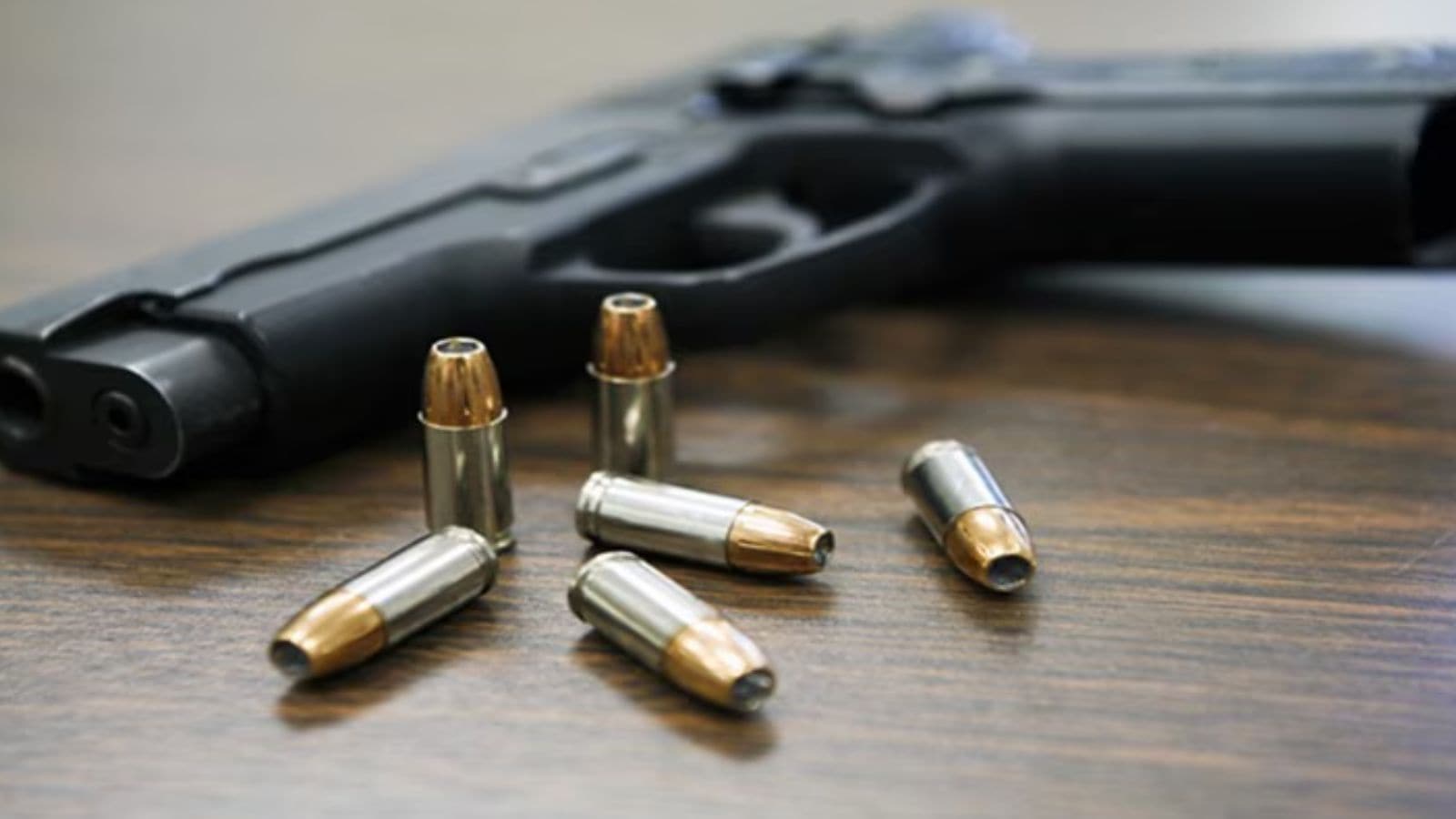 The brothers Ansari: How new arms syndicate fed North India’s criminal networks