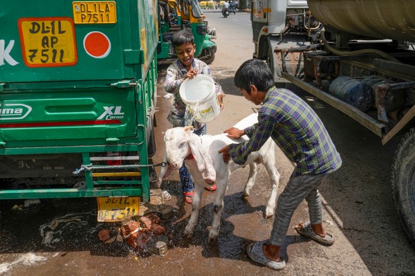 delhi summers