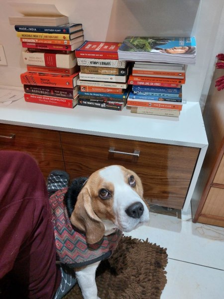 upsc topper 2025 tips, casper his dog as anxiety pill