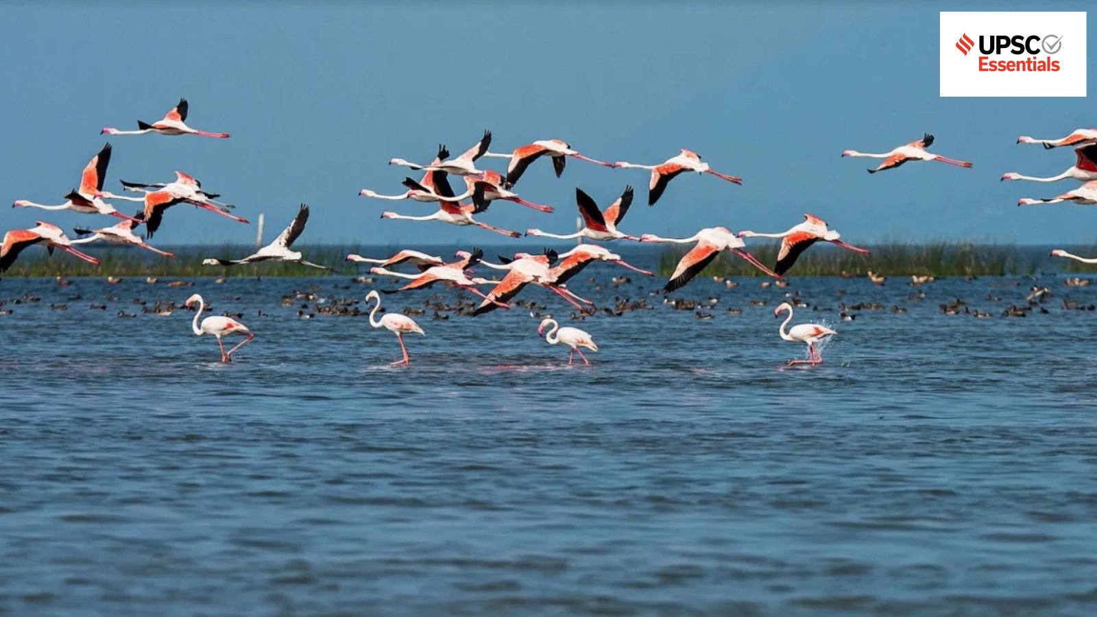 UPSC Daily Quiz: Environment and Geography (Week 163)