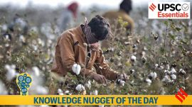 cotton production, mission, agriculture, msp, farmers