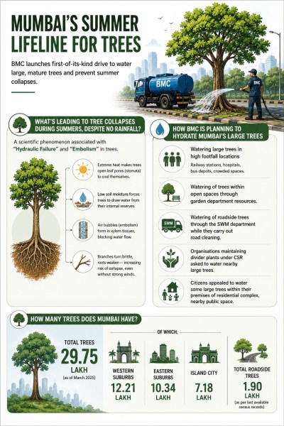 mumbai trees graphic