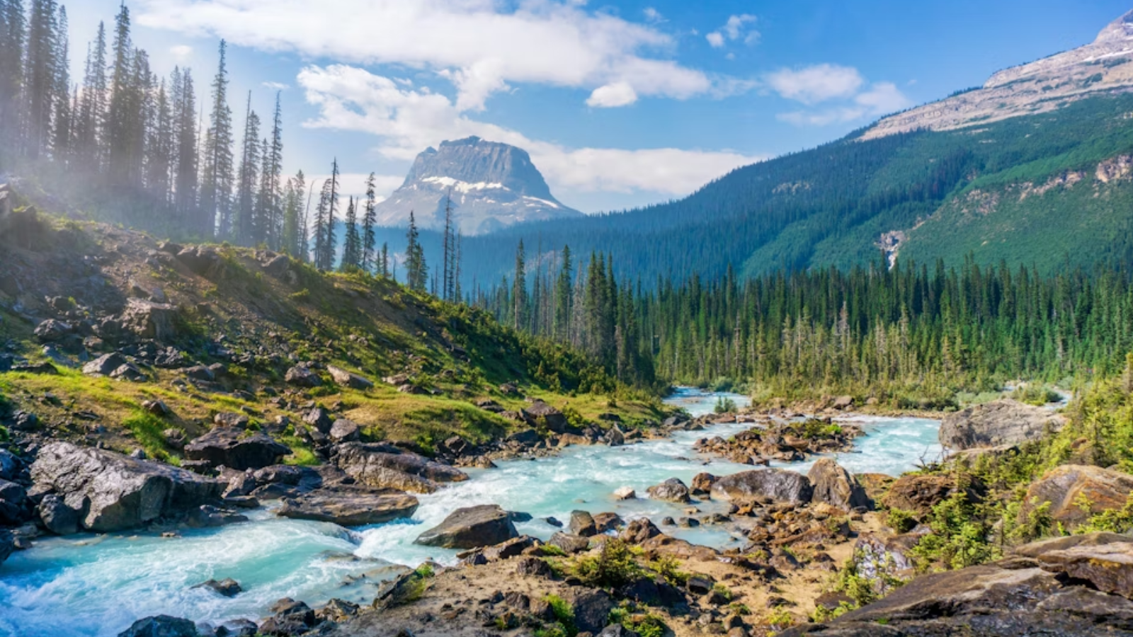 Top trending national parks around the world