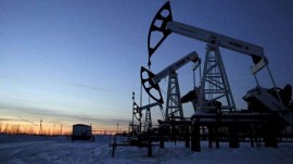 oil