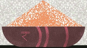 India faces a 1991 moment: It needs to reform, relook at subsidies