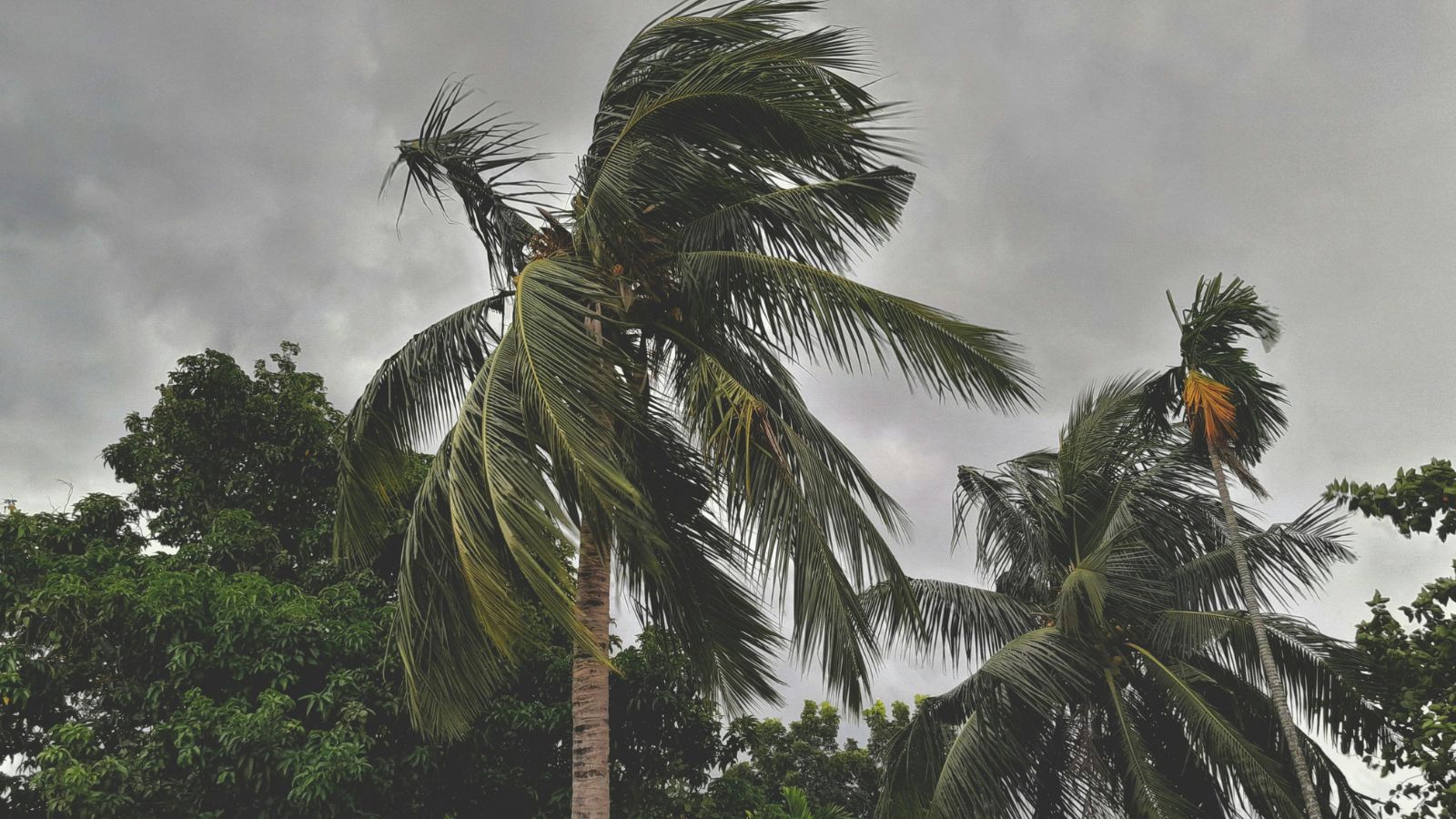Southwest monsoon over Kerala likely on May 26, says IMD