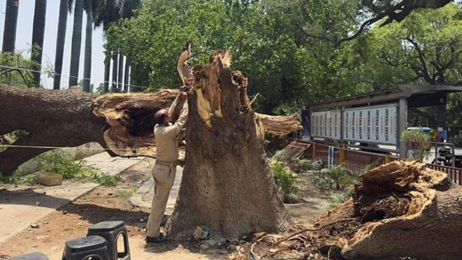 96 killed as dust storm, heavy rains batter Uttar Pradesh