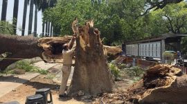 UP death due to storm