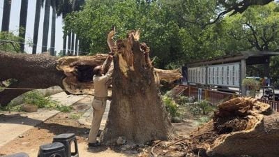 111 killed, scores injured as dust storm, heavy rains batter Uttar Pradesh
