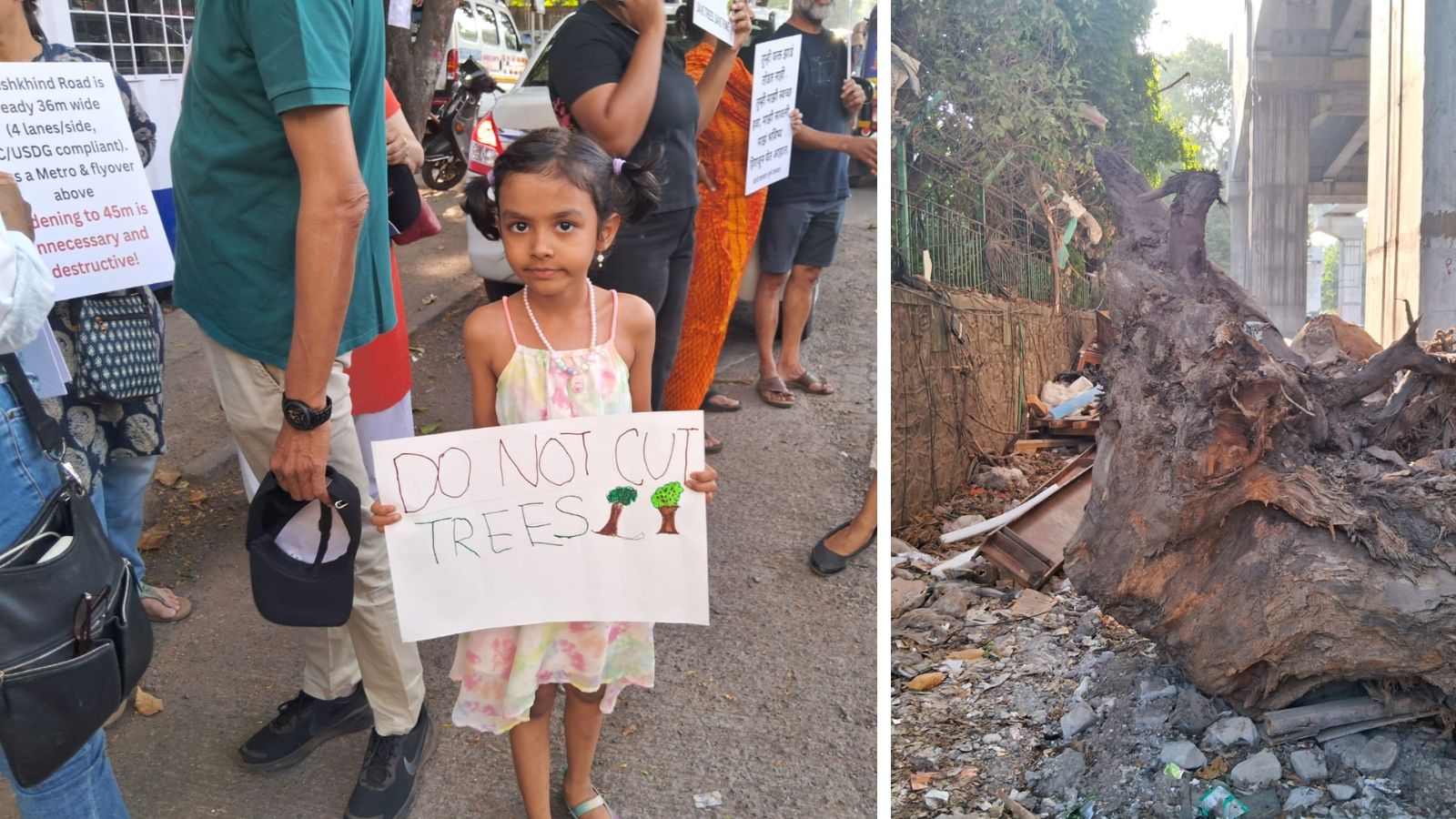529 heritage trees vs. 45-metre road: Pune residents form human chain to save Ganeshkhind’s green cover