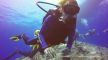 "Oxygen toxicity" is caused by breathing oxygen at high partial pressures underwater.