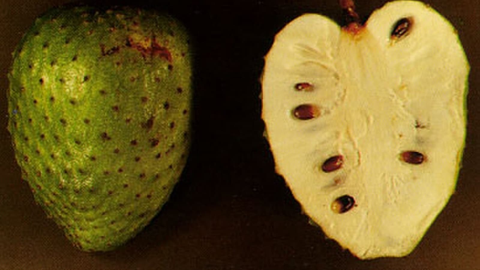 soursop