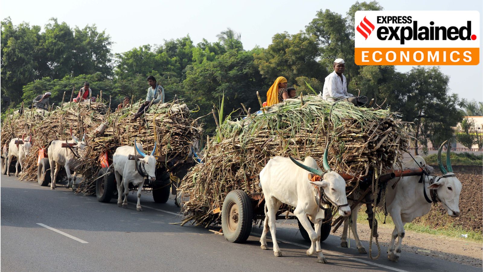 Why Modi government has banned sugar exports: 3 reasons
