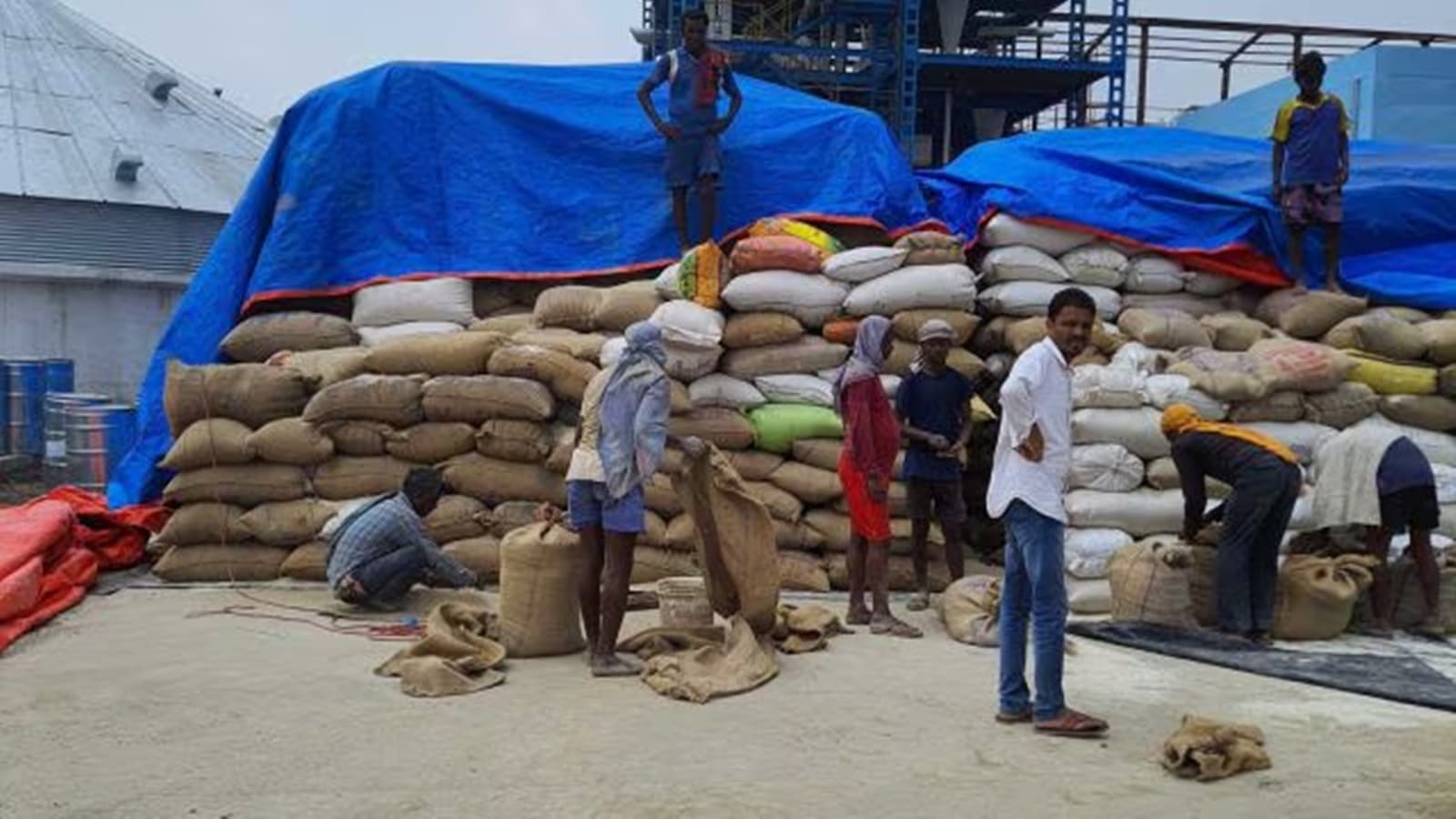 ‘How can you take completely opposite decisions within 3 months?’: Sugar export ban draws sharp reactions from farmer groups
