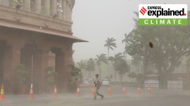 Environment | 4-letter word everyone in Delhi needs to know: dust