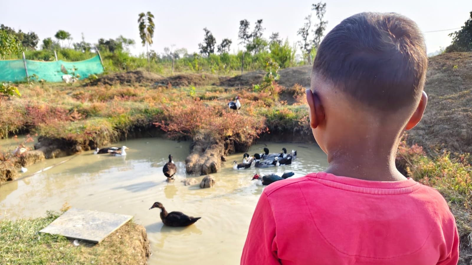 HIV-infected thalassemia children Jharkhand HC