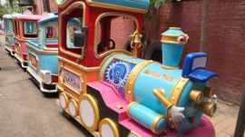 elnate toy train death