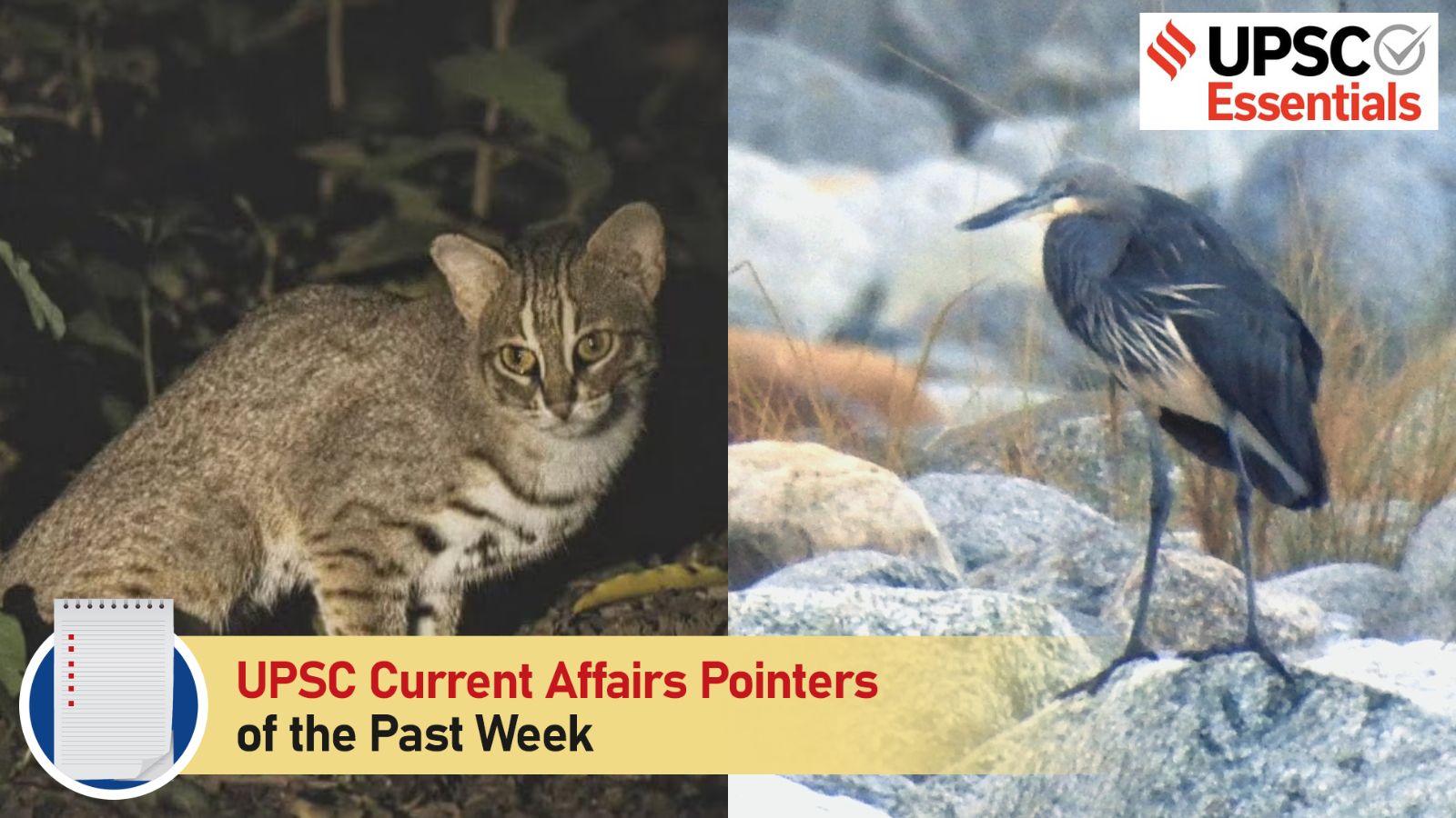 Top 20 UPSC Current Affairs Pointers of the past week  | May 4 to May 10, 2026