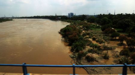 yamuna floodplains