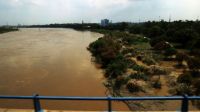 yamuna floodplains