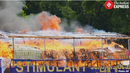 Authorities burned more than 50 tonnes of drugs