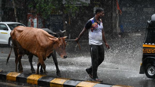 Mumbai rain western suburbs