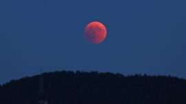 Strawberry Moon
