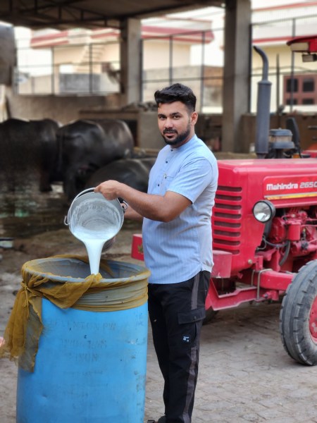 The farm supplies 500-600 litres of milk daily, of which 50 per cent is sold to Verka, while the rest is sold to private customers at premium rates, ranging between Rs 70 and Rs 79 per kg, depending on the fat content.