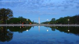 A Senior Trump administration official confirmed that five people have been arrested on charges of vandalism, and five people received a notice from the police on Saturday.