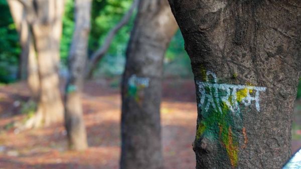 Advocate Sriram Pingale, representing Baviskar, said, “The crux of the litigation history with respect to the environment at Nashik lies in the Kumbh preparations.