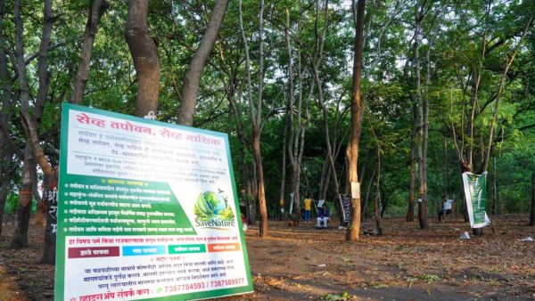 The number has increased due to Tapovan. A lot of shrubs have some up there, and people have done massive plantations of Kasid. This is why the issue was created