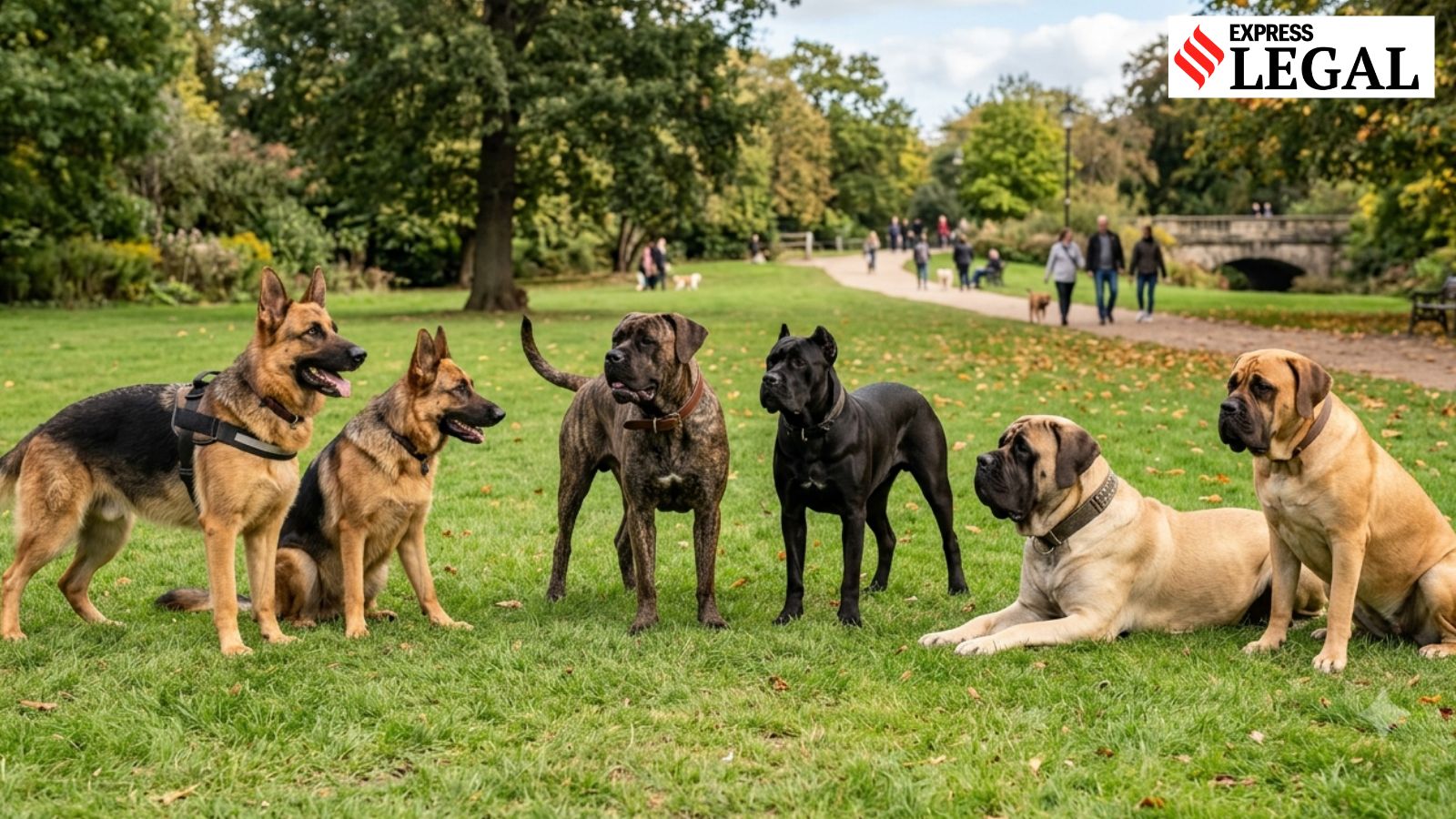 Pet food supplier sold 166 near-expiry dog food bags, ordered to pay Rs 50,000 | Legal News