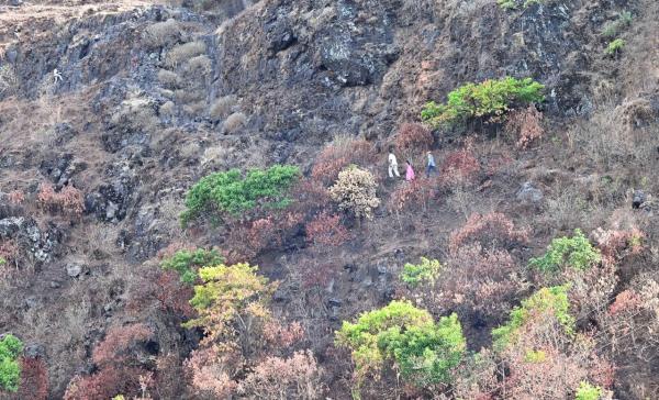 Dhanawali villagers trekking up the hill