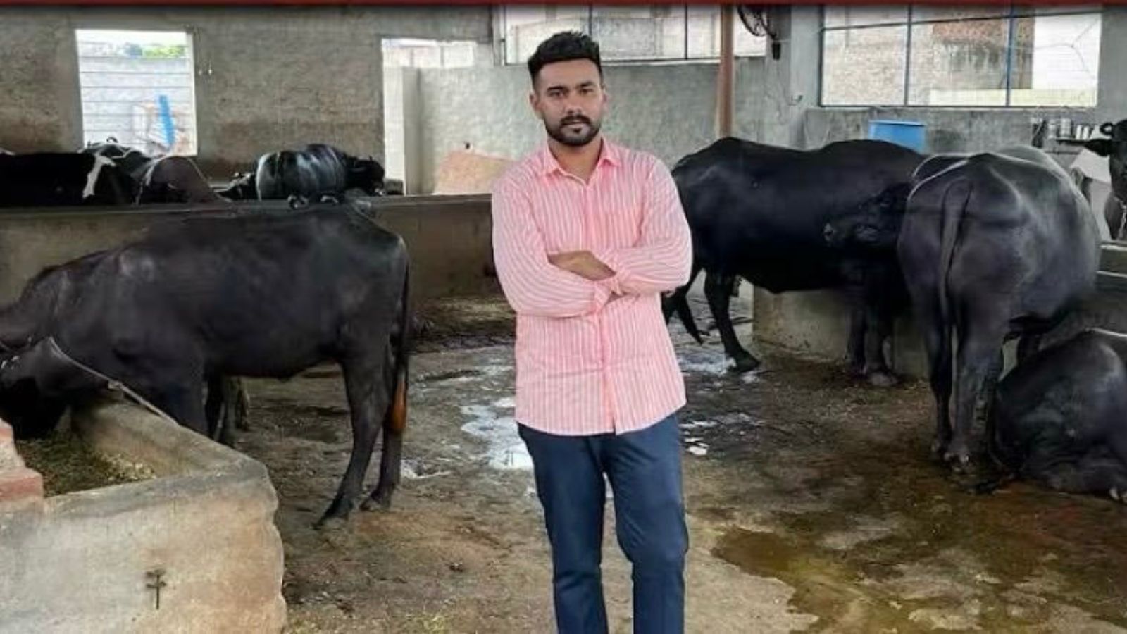 indianexpress.com - Anju Agnihotri Chaba - Punjab engineer gives up 'Australian dream', earns Rs 80L annually from buffalo farming and start-up consultancy