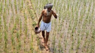 Maharashtra govt weighs expanding farm loan waiver to include 5.75 lakh left-out farmers