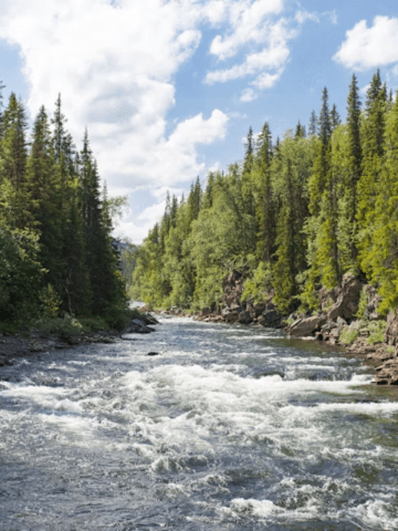 rivers
