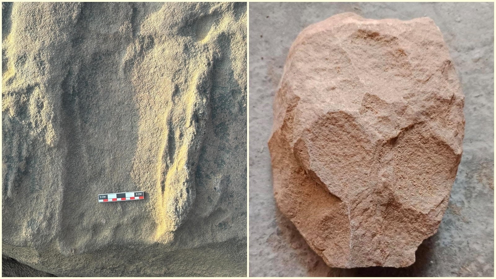 Rock marks, game boards: Wildlife trail leads to prehistoric past in Aravalli