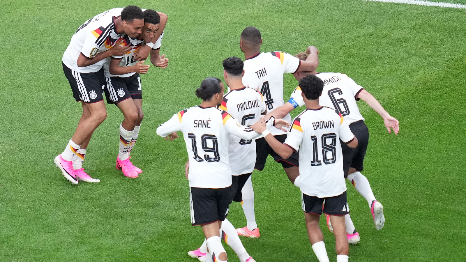 Germany the latest team to encounter snake problem in the World Cup
