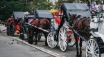 Indian teen dies in horse carriage accident in New York