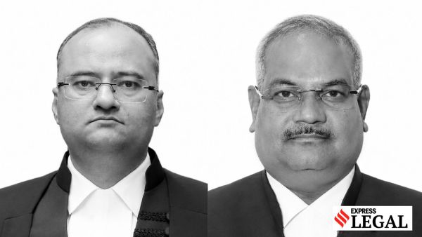 Justices Vivek Jain and Ajay Kumar Nirankari Madhya Pradesh High Court tiger deaths